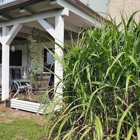 Smilla In Appartement *